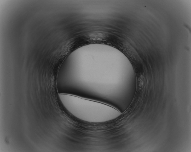 X0000093590559200710151019