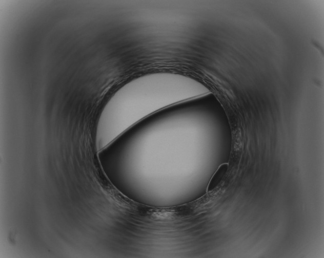 X0000093590560200710151020
