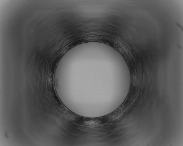 X0000093590561200710151020