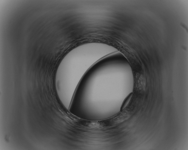 X0000093590562200710151020