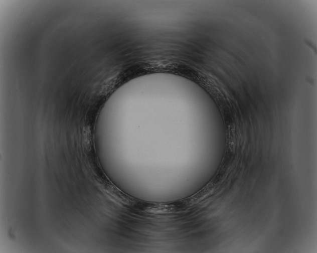 X0000093590563200710151020