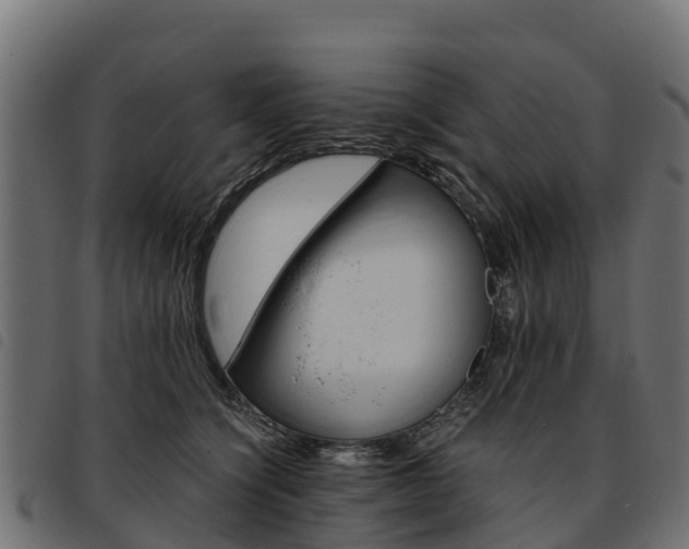 X0000093590564200710151020