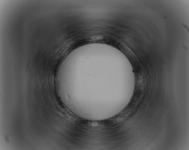 X0000093590565200710151020