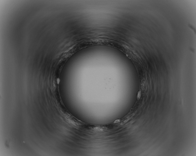 X0000093590566200710151020