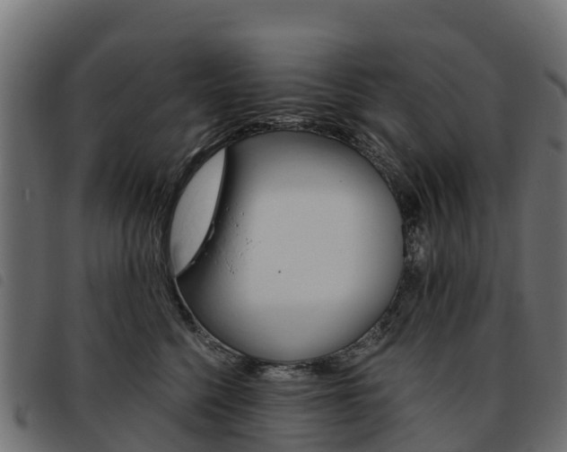 X0000093590568200710151020