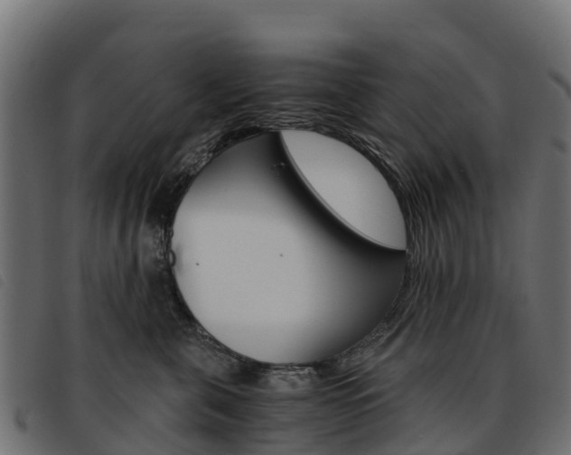 X0000093590571200710151020