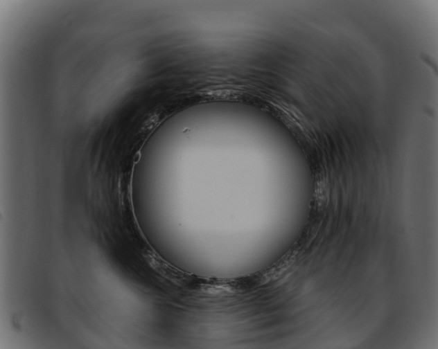 X0000093590572200710151020