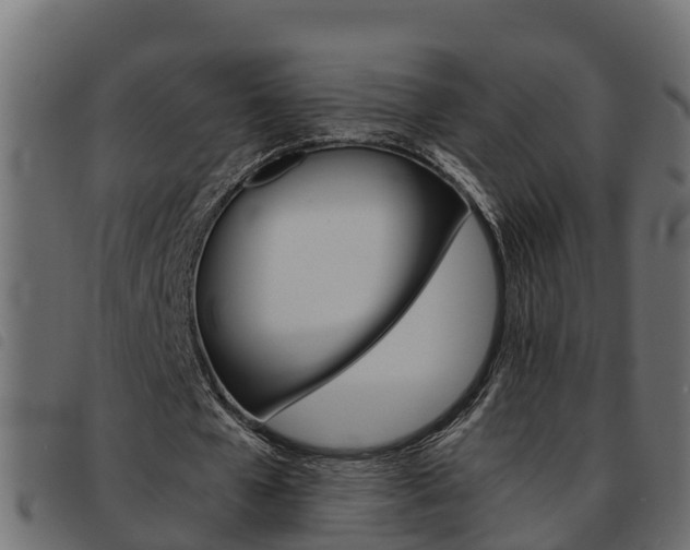 X0000093590577200710151019