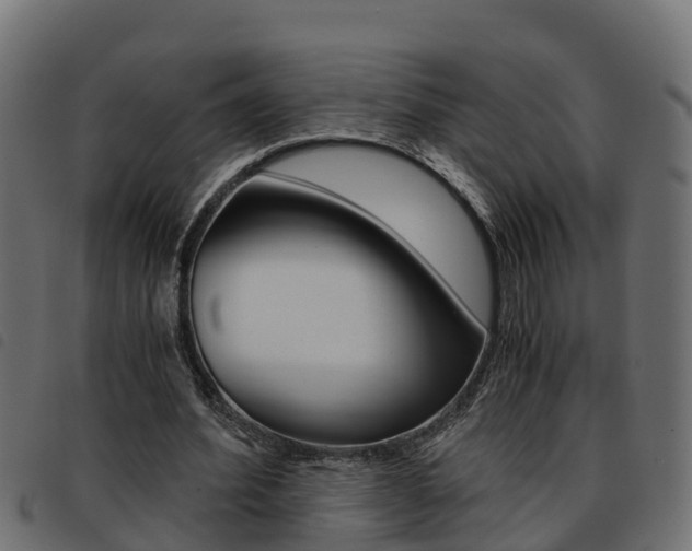 X0000093590580200710151019