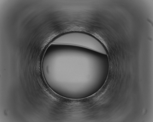 X0000093590581200710151019