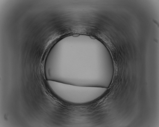 X0000093590583200710151019