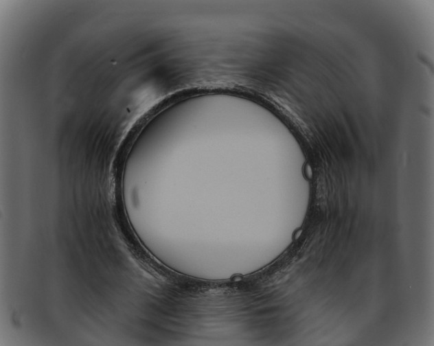 X0000093590584200710151019