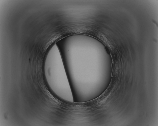 X0000093590585200710151019