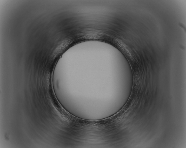 X0000093590586200710151019
