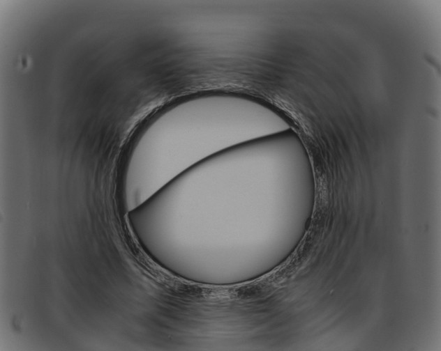 X0000093590587200710151019