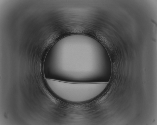 X0000093590589200710151019