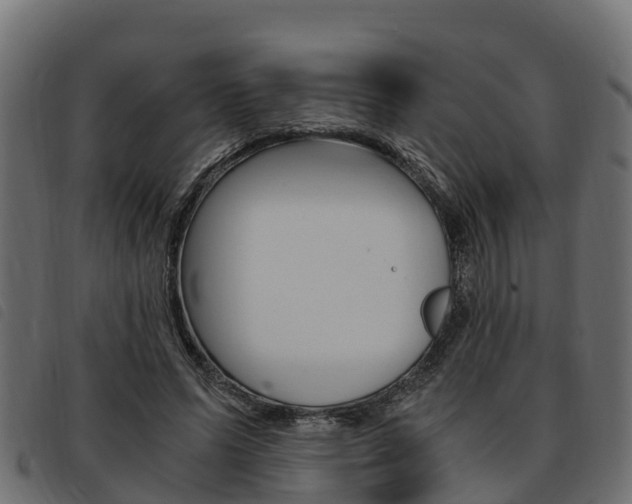 X0000093590591200710151019