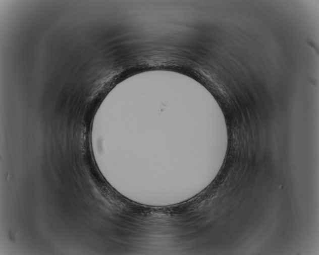 X0000093590592200710151019
