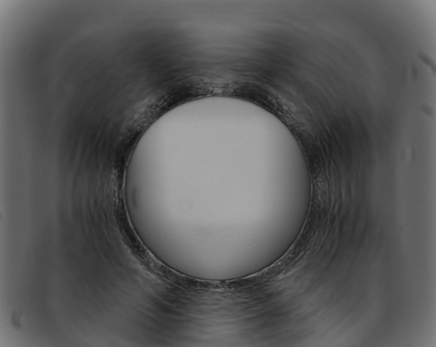 X0000093590594200710151019