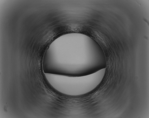 X0000093590595200710151019