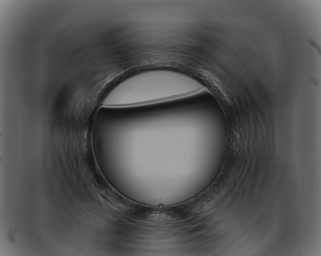 X0000093590596200710151019