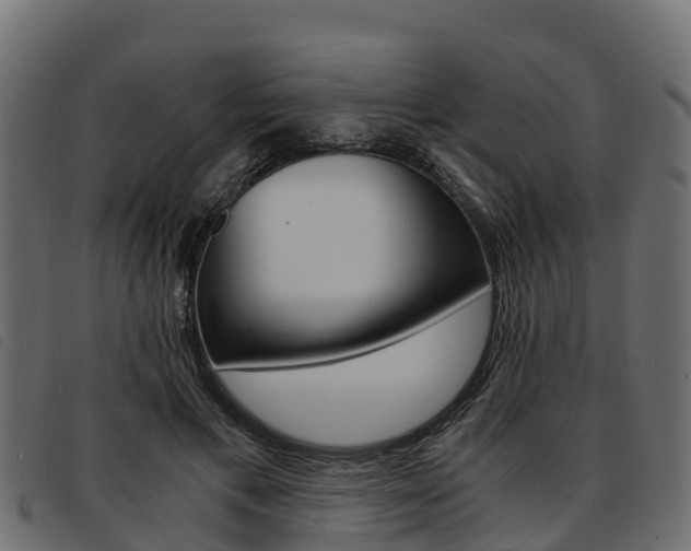 X0000093590597200710151019