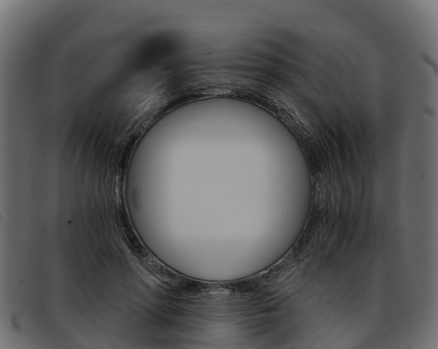 X0000093590598200710151019