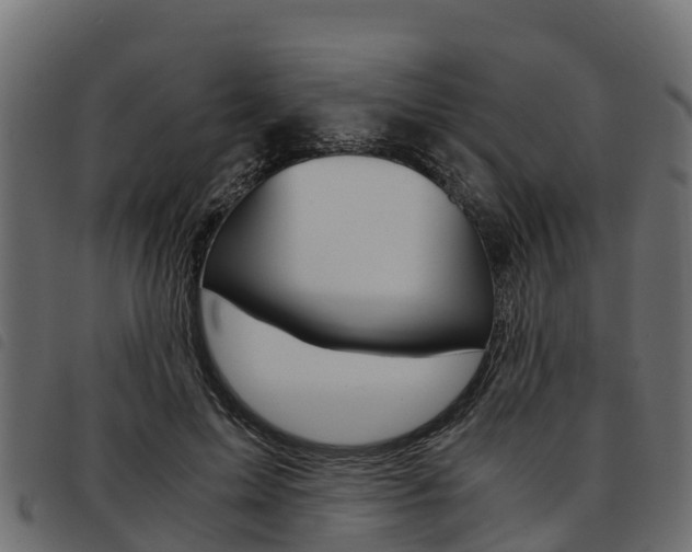 X0000093590599200710151019