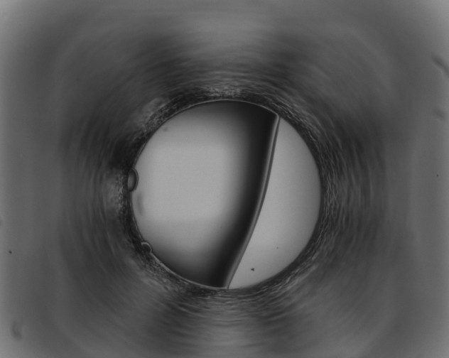 X0000093590600200710151019