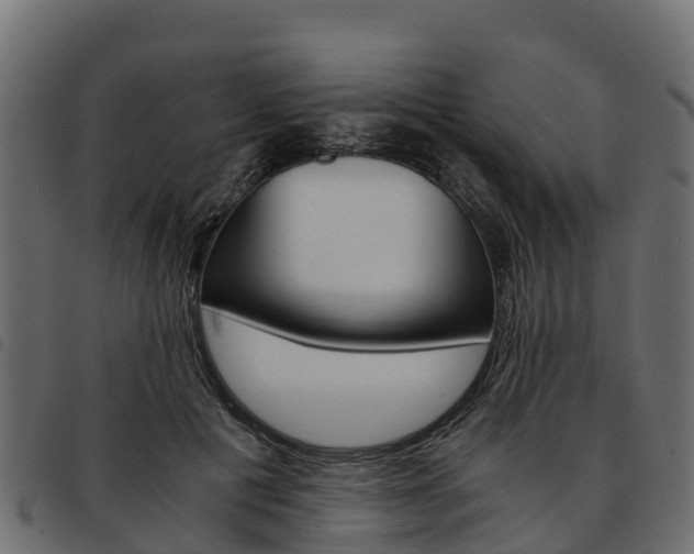 X0000093590601200710151019