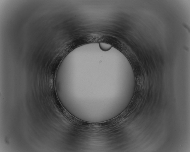 X0000093590602200710151019