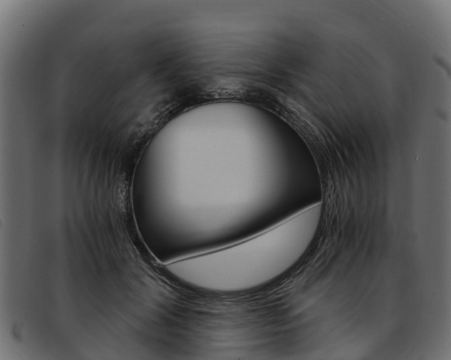 X0000093590604200710151019