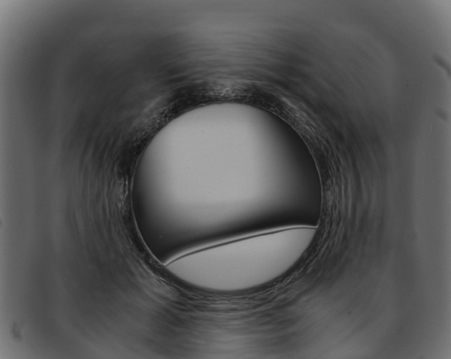 X0000093590605200710151019