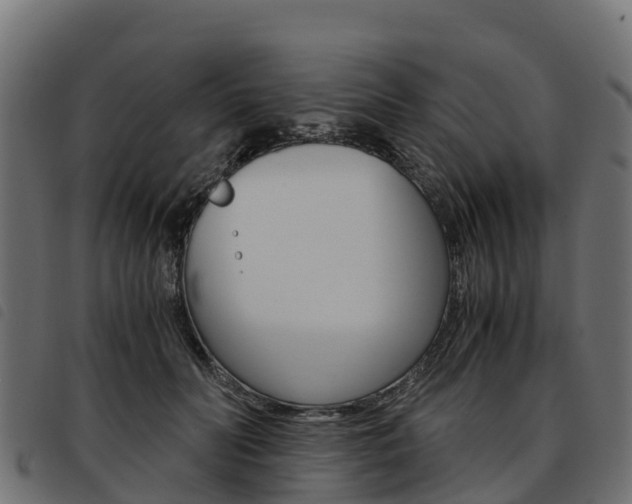 X0000093590606200710151019