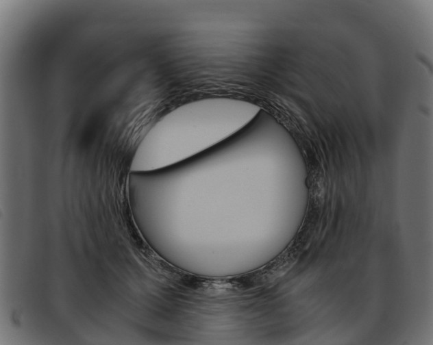 X0000093590607200710151019