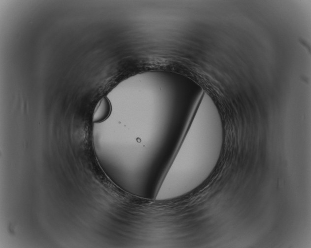 X0000093590608200710151019