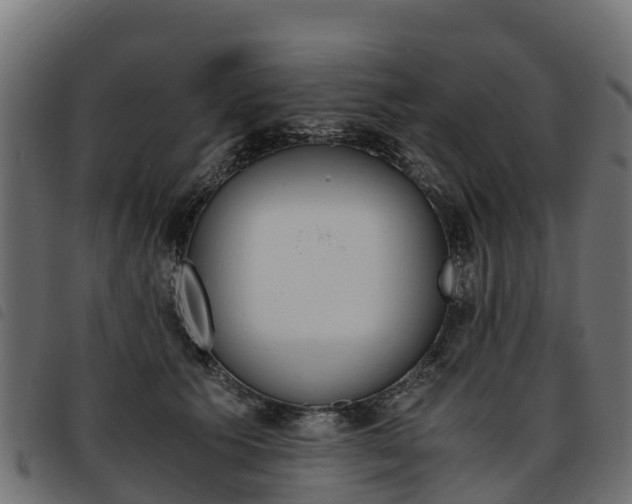 X0000093590609200710151019