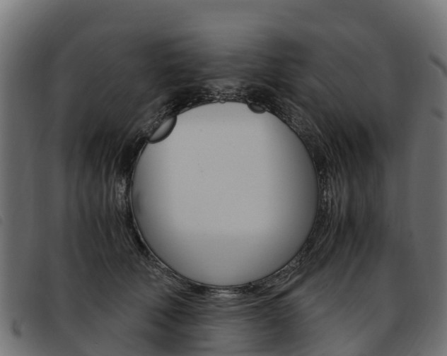 X0000093590610200710151019