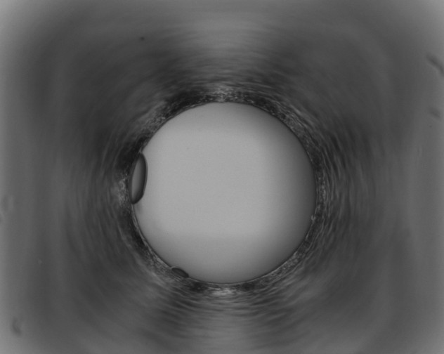 X0000093590611200710151019
