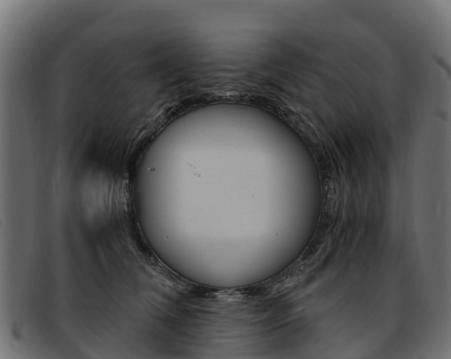 X0000093590612200710151019