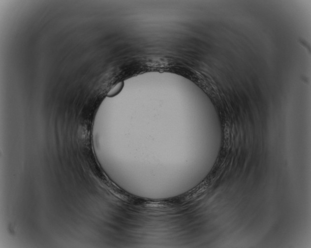 X0000093590614200710151019