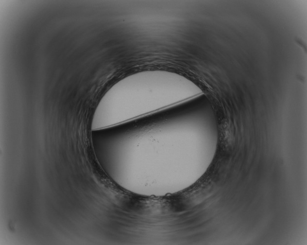 X0000093590615200710151019
