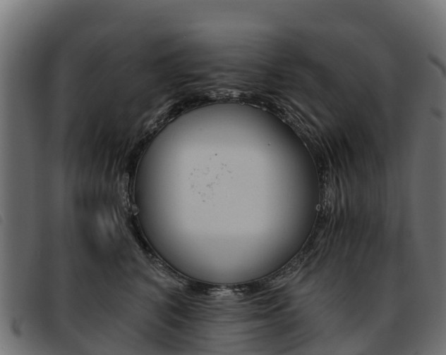 X0000093590616200710151018