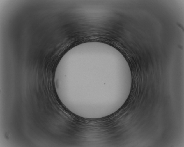X0000093590617200710151018
