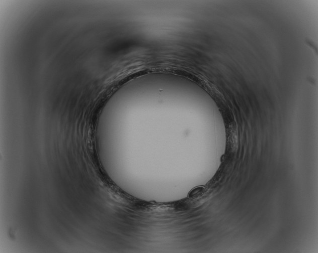 X0000093590619200710151018