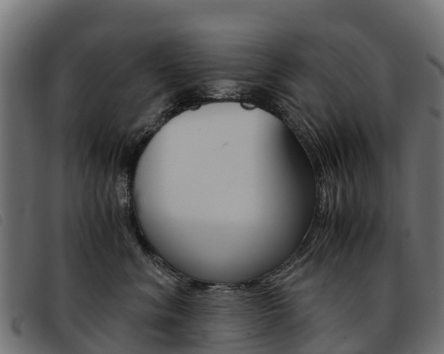 X0000093590620200710151018