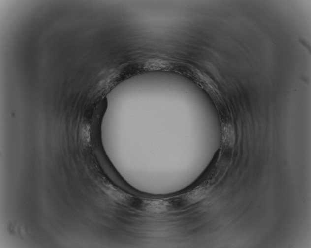 X0000093590621200710151018