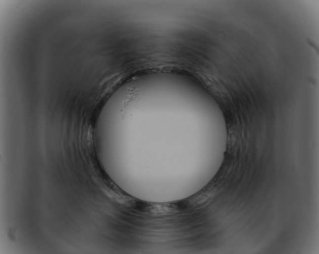 X0000093590623200710151018