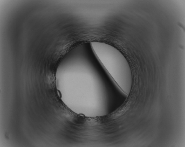X0000093590624200710151018