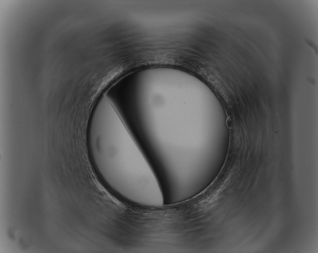 X0000093590625200710151018
